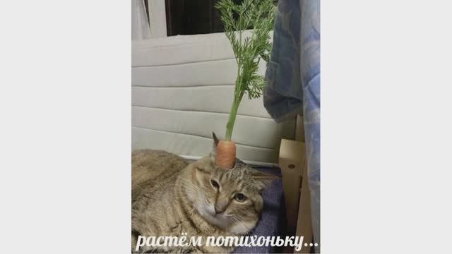 Растём потихоньку) смотреть онлайн