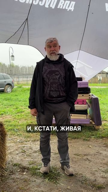 Личный бренд банщика смотреть онлайн