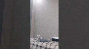 уборка! часть два...