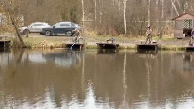 Светлые Горы Форель5 29.11.2025г смотреть онлайн