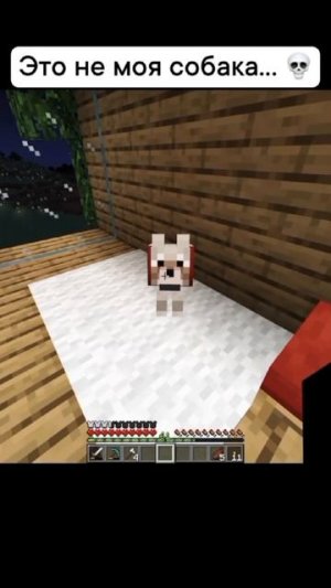 Майнкрафт, но где моя собака?