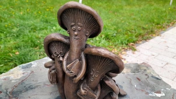 Mushrooms On Your Table 6