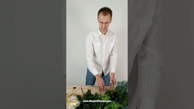 подборка еловых веток