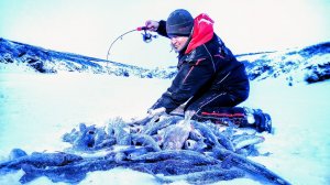 КАНЬОН КИШАЩИЙ РЫБОЙ! ВОТ ПОПАЛИ! Рыбалка в арктической тундре.