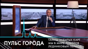 Пульс города. Большой Смоленский мост, мы и роботы, исторические карты города. 28 ноября 2025