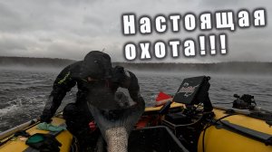 ТАК НЫРЯЮТ ПРОФИ!!! ПОДВОДНАЯ ОХОТА С ИНСТРУКТОРОМ!!!