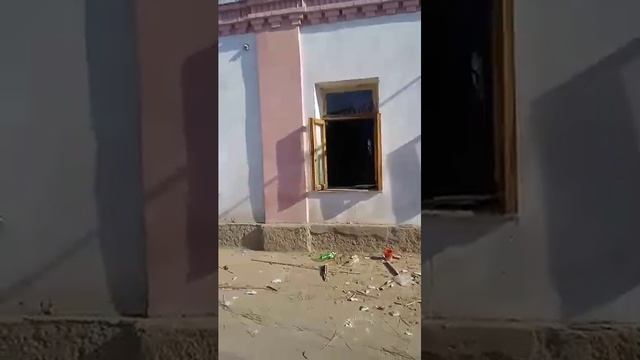1000102688.mp4 смотреть онлайн