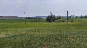 Светлана Хәкимова - Бик йыш ҡайтам