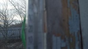 Завершая сезон, заглянем в теплицы...