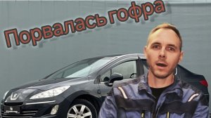 Замена гофры на Peugeot 408