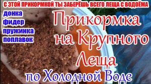 Лови по Холодной воде Крупного Леща Прикормка на Леща Плотва Карась