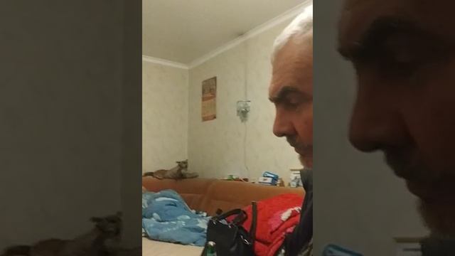 Вечерние досуги ...28.11.2025.