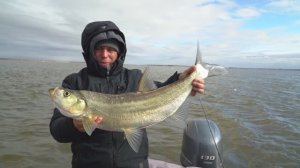 "КИНОТЕАТР РЫБОЛОВА" Через несколько дней Амур замерзнет...