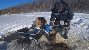 8 МАРТА, А МУЖИКИ НА ЛЬДУ! ВЕСЕННИЙ НАЛИМ НАЧАЛ \ ЗАНОЧЕВАЛ В ДЕРЕВНЕ, ПРИЯТНЫЕ БОНУСЫ НА КОМБАЙН !