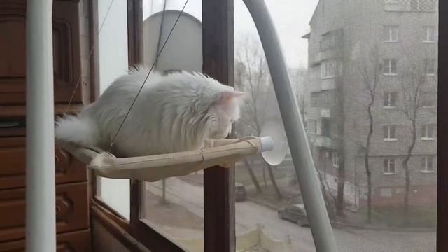 Леся и Сёма - Установка ПЦО прошла успешно смотреть онлайн