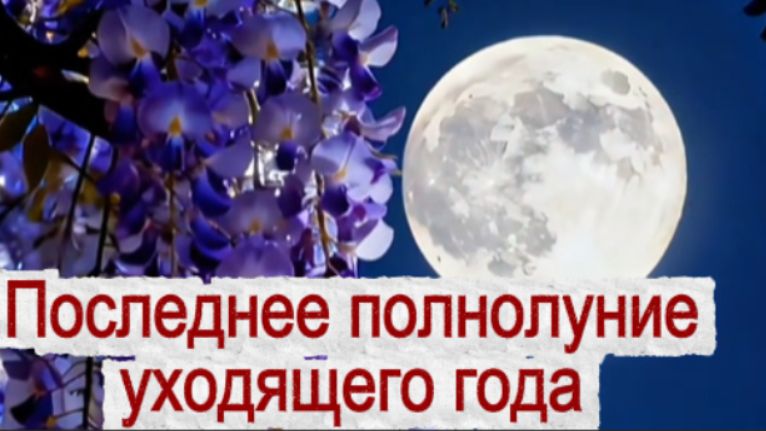 Последнее полнолуние уходящего года! Главные запреты! смотреть онлайн