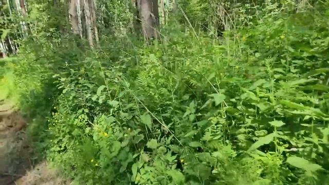 Ep.270 Girls Are on the Adventure (Russian Subtitles) смотреть онлайн