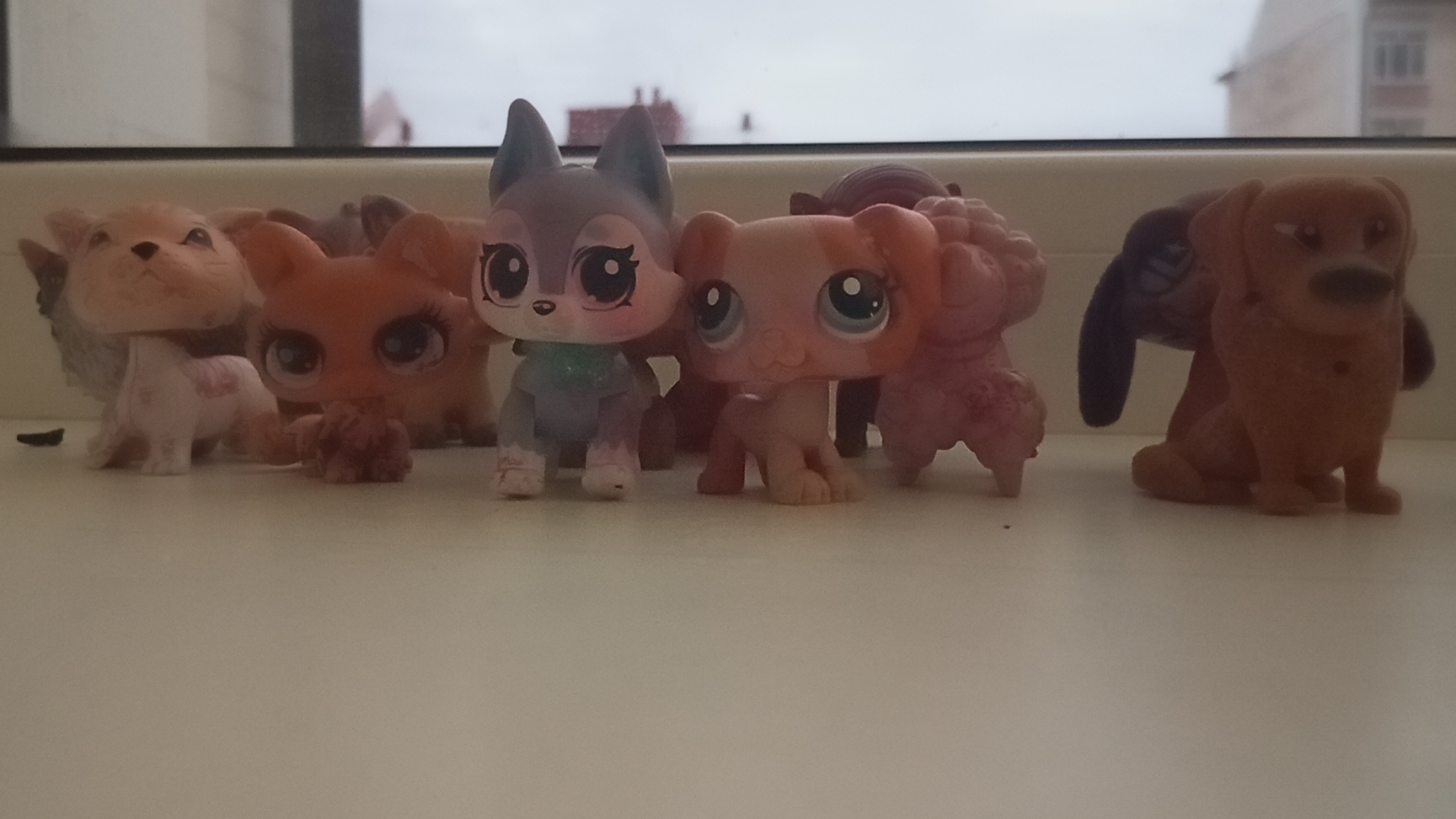 обзор на моих собак и кошек лпс смотреть онлайн