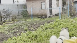ДЕЛА ОСЕННИЕ ЗАВЕРШАЕМ / ОГОРОД ГОТОВ К ЗИМЕ
