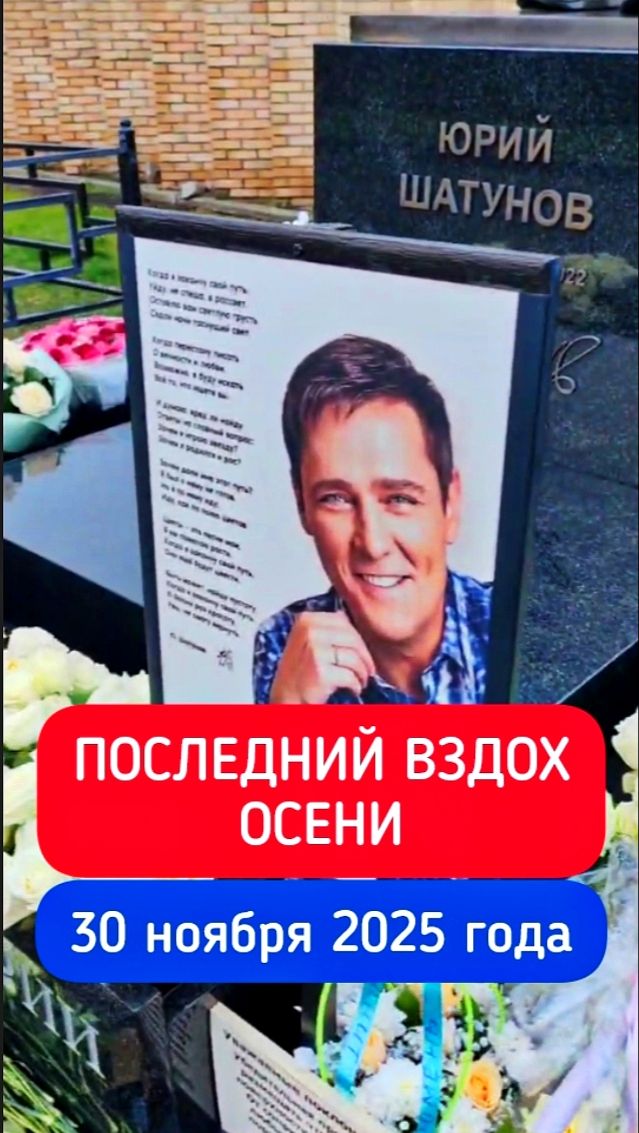 Цветы, что хранят память: могила Юрия Шатунова #shorts #шатунов #2025 #белыерозы #ласковыймай смотреть онлайн