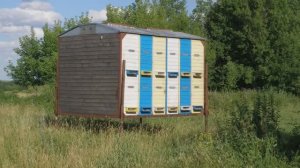 Павильон для пчел