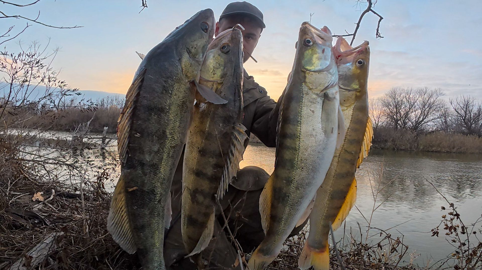 СУМАСШЕДШИЙ КЛЁВ КРУПНОГО СУДАКА! НАРВАЛСЯ НА ЖОР РЫБЫ ПЕРЕД ЗИМОВКОЙ. АСТРАХАНЬ. смотреть онлайн