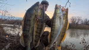 СУМАСШЕДШИЙ КЛЁВ КРУПНОГО СУДАКА! НАРВАЛСЯ НА ЖОР РЫБЫ ПЕРЕД ЗИМОВКОЙ. АСТРАХАНЬ.