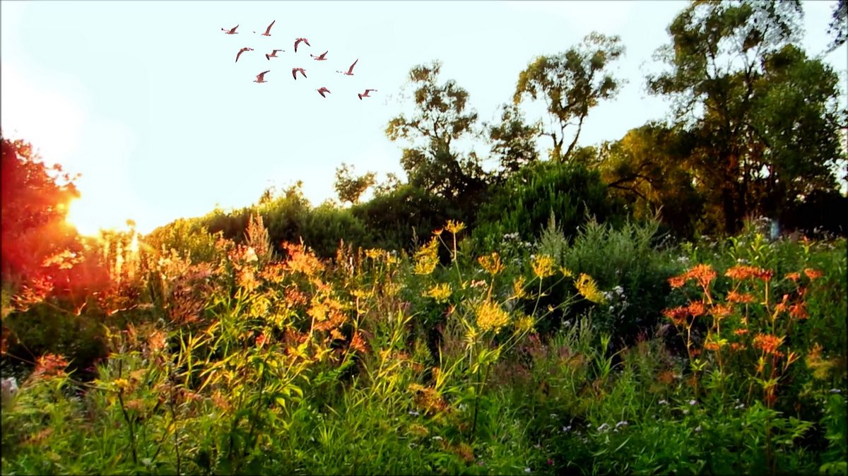 Августовский вечер смотреть онлайн