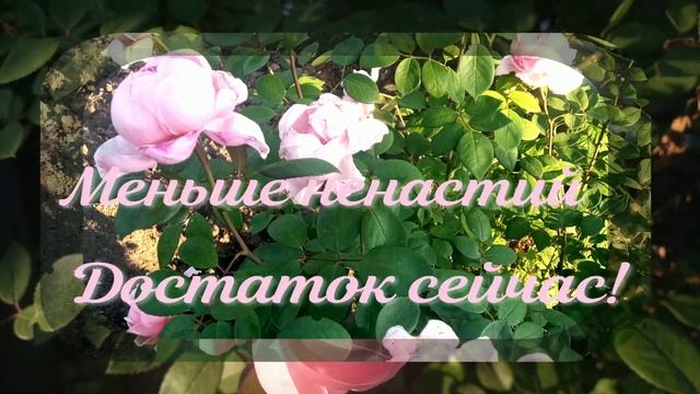 Мама праздник