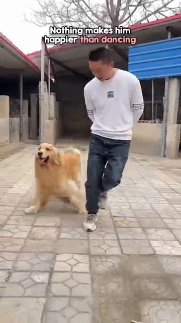 Собака и хозяин смотреть онлайн