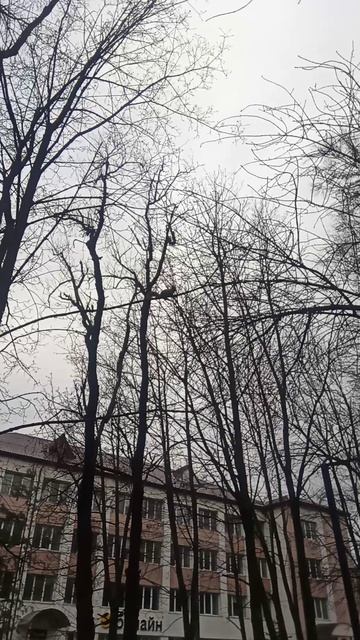 VID_20251130_130643.mp4 смотреть онлайн