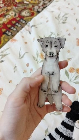 Новая бумажная собака 😍🤘🥰💣🔥