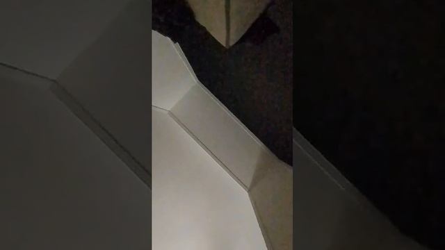 сплю смотреть онлайн