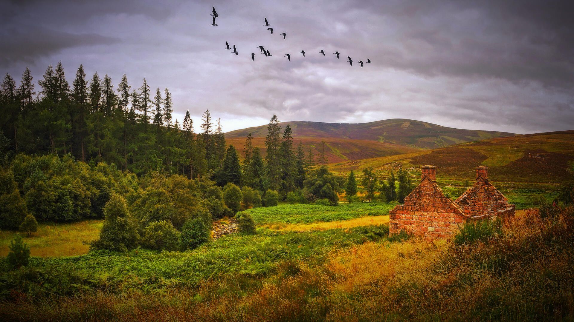 Ёлка — После меня смотреть онлайн