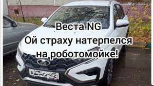 Веста! Страх на мойке!