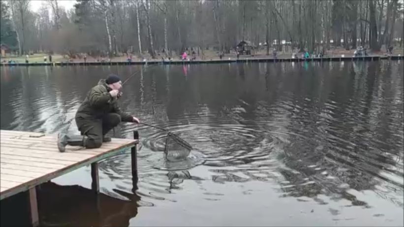 Поимки форели на актив и пассив. Клёвое место, Лосиный остров, верхний водоём. смотреть онлайн