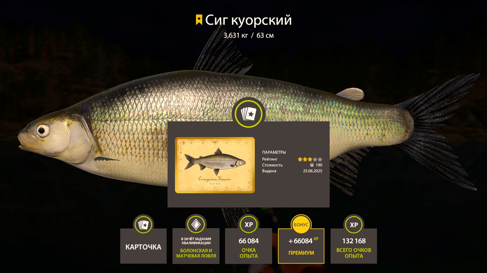 РАЗДАЧА СИГОВ НА КУОРИ, СУПЕР КЛЕВ НА ЯМЕ, МЕДНОМ, МОРЕ И ТРОЛЛИНГ НА АХТУБЕ В РУССКОЙ РЫБАЛКЕ 4 РР4 смотреть онлайн