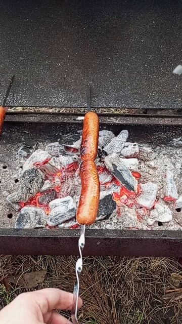 Жарю сосиски на мангале смотреть онлайн