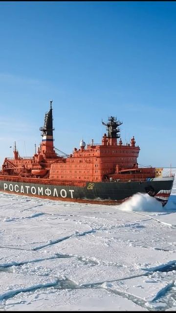 киса смотреть онлайн