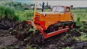 Старые советские тракторы ДТ-75 в работе