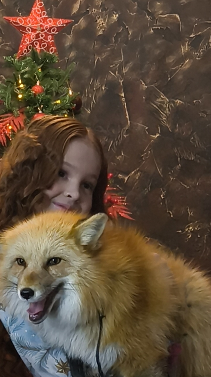 фотосессия с лисой смотреть онлайн