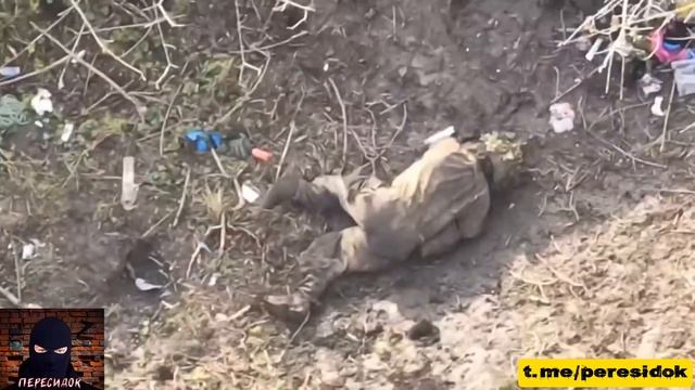 Кто не успел сдаться, тот опоздал смотреть онлайн