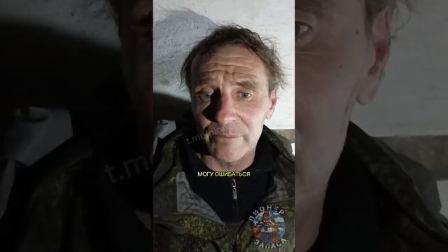 правильный навигатор привёз свиней прямиком в плен смотреть онлайн