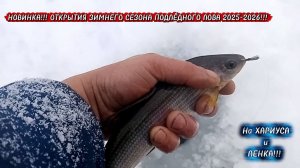 Зимняя Рыбалка на Хариуса.2025!!!Фазаны прям на дороге сидят и прехать не Дают!!!