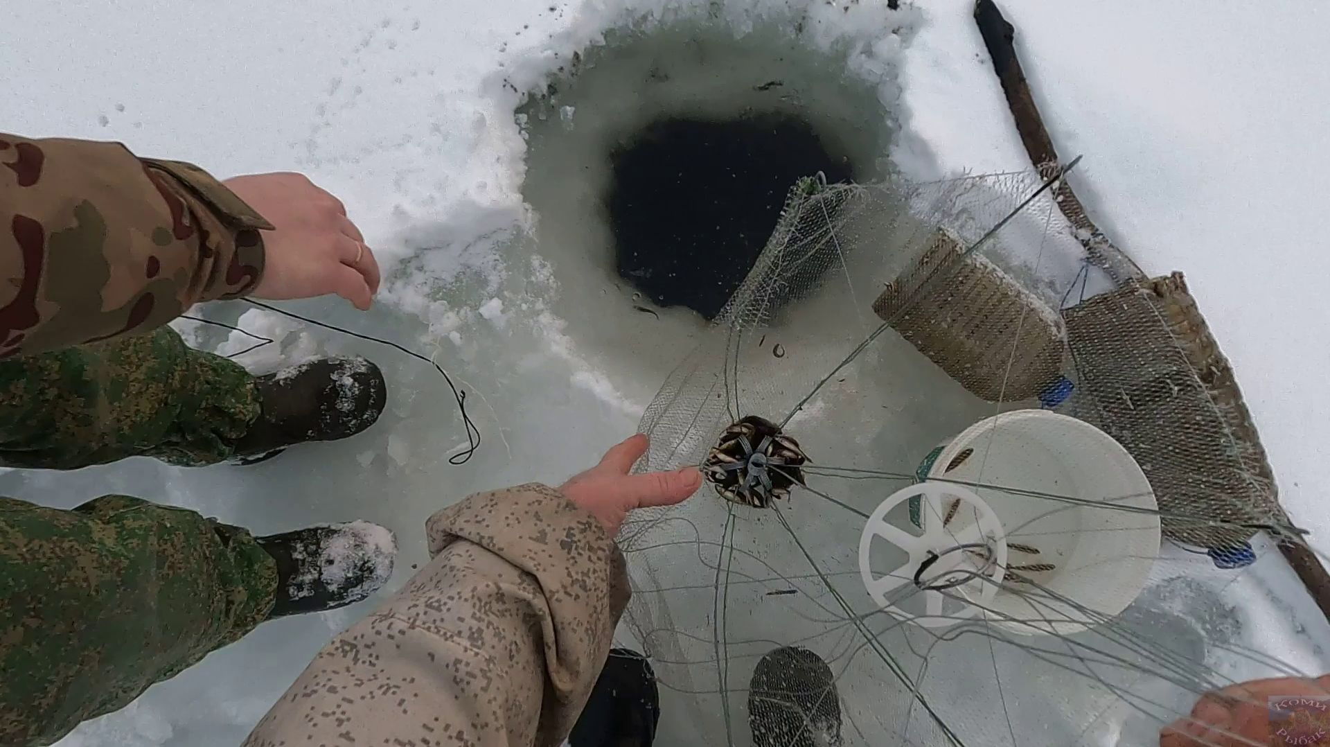 Ловим живцов при помощи ловушек \ Подводная съёмка смотреть онлайн