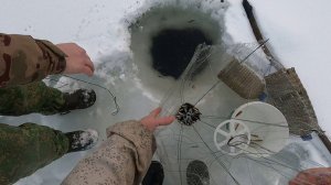 Ловим живцов при помощи ловушек \ Подводная съёмка