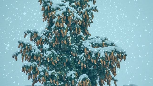 Футаж. Зимний пейзаж 146 смотреть онлайн