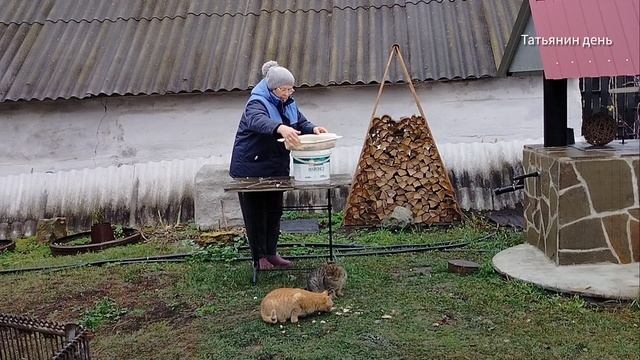 И снова грибы ...)) смотреть онлайн