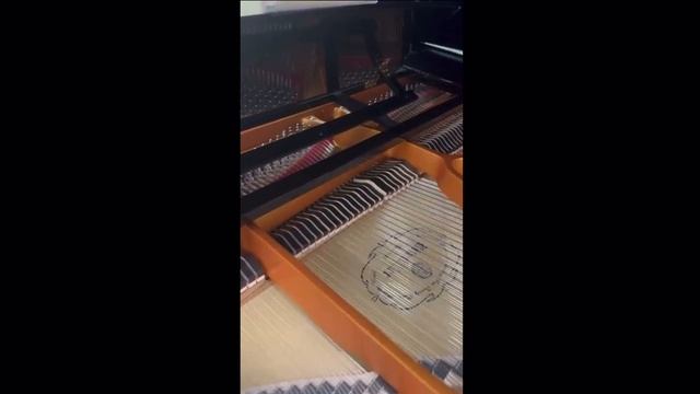 Преподаватель по классу фортепиано Попова Анна