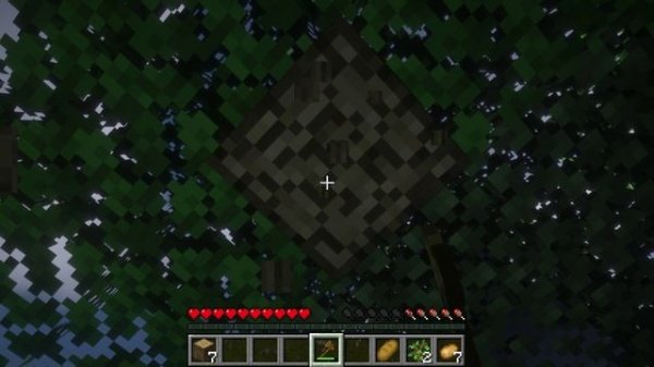 minecraft survival